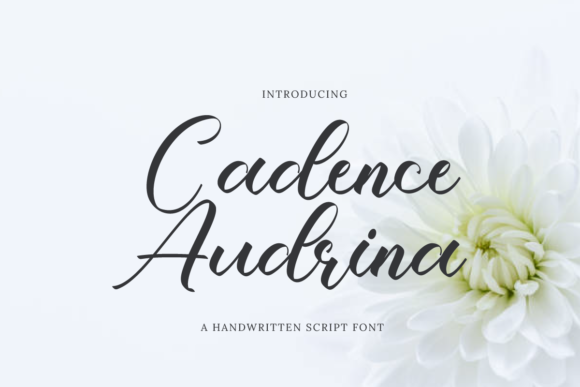 Cadence Audrina: A Graceful Script Font for Designers