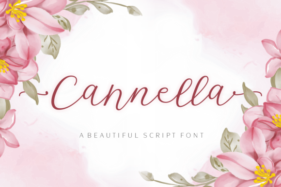 Cannella: An Elegant Script Font for Branding