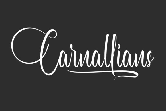 Carnallians: A Delicate Script Font for Crafters