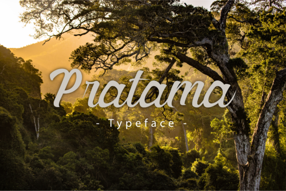 Pratama: The Retro Script Font for Modern Brands